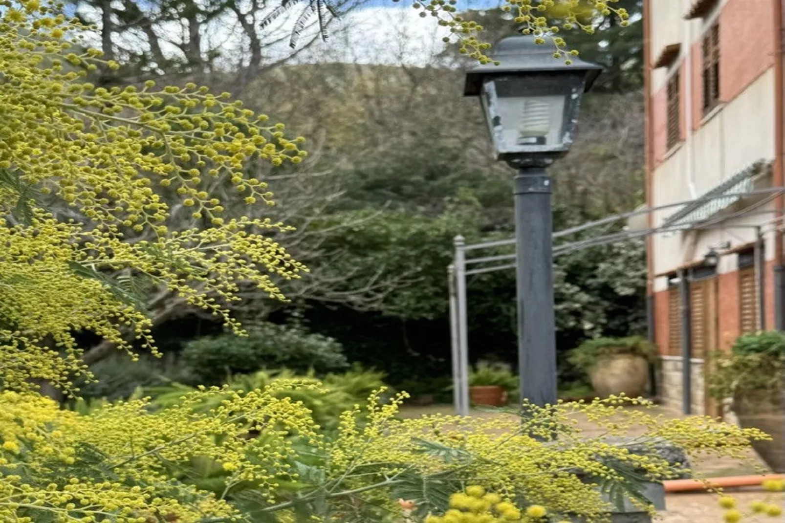 Villa Castelbuono-Gardens summer