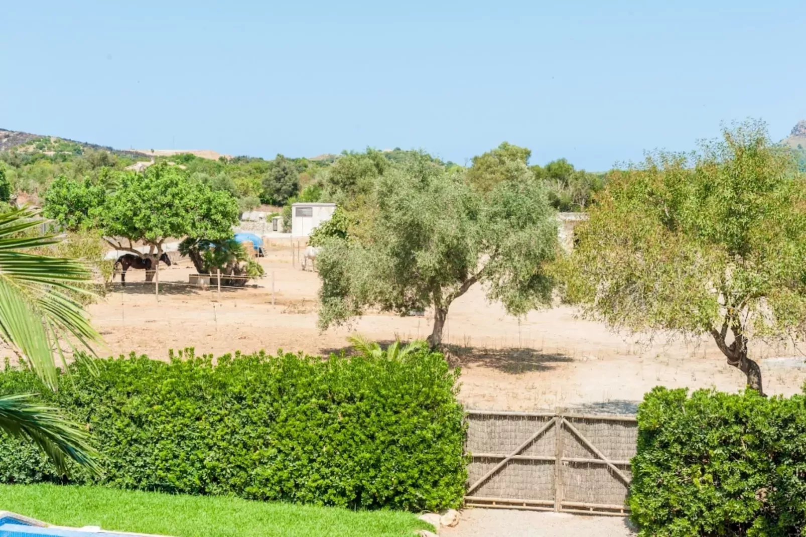 Casa Angela - Exterior in summer