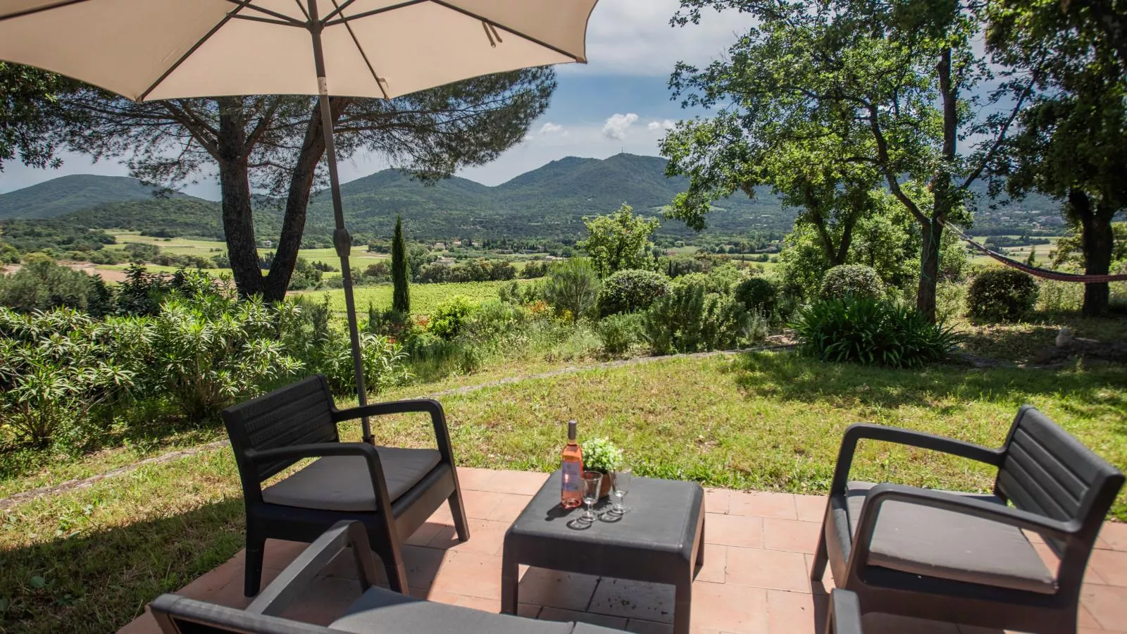 Entre les vignes-View summer
