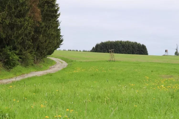 Hexenzauber I und II-Jardin d'été
