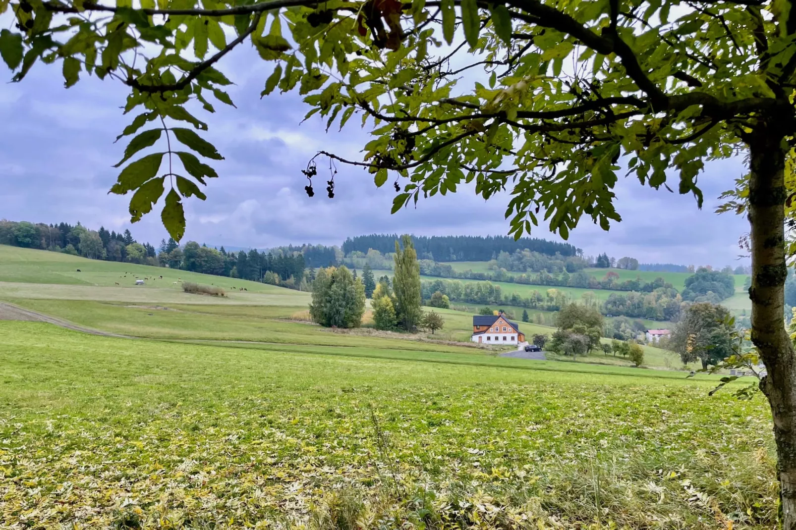 Víchová nad Jizerou LVV033-Außenbereich