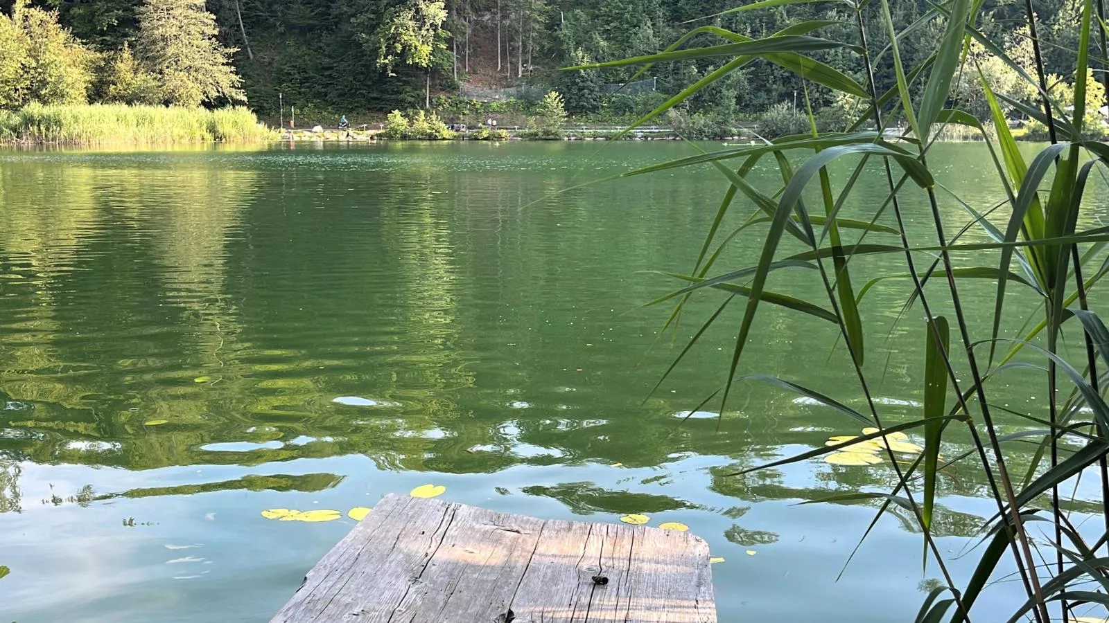 Residenz Aichwaldsee-Wasserblick