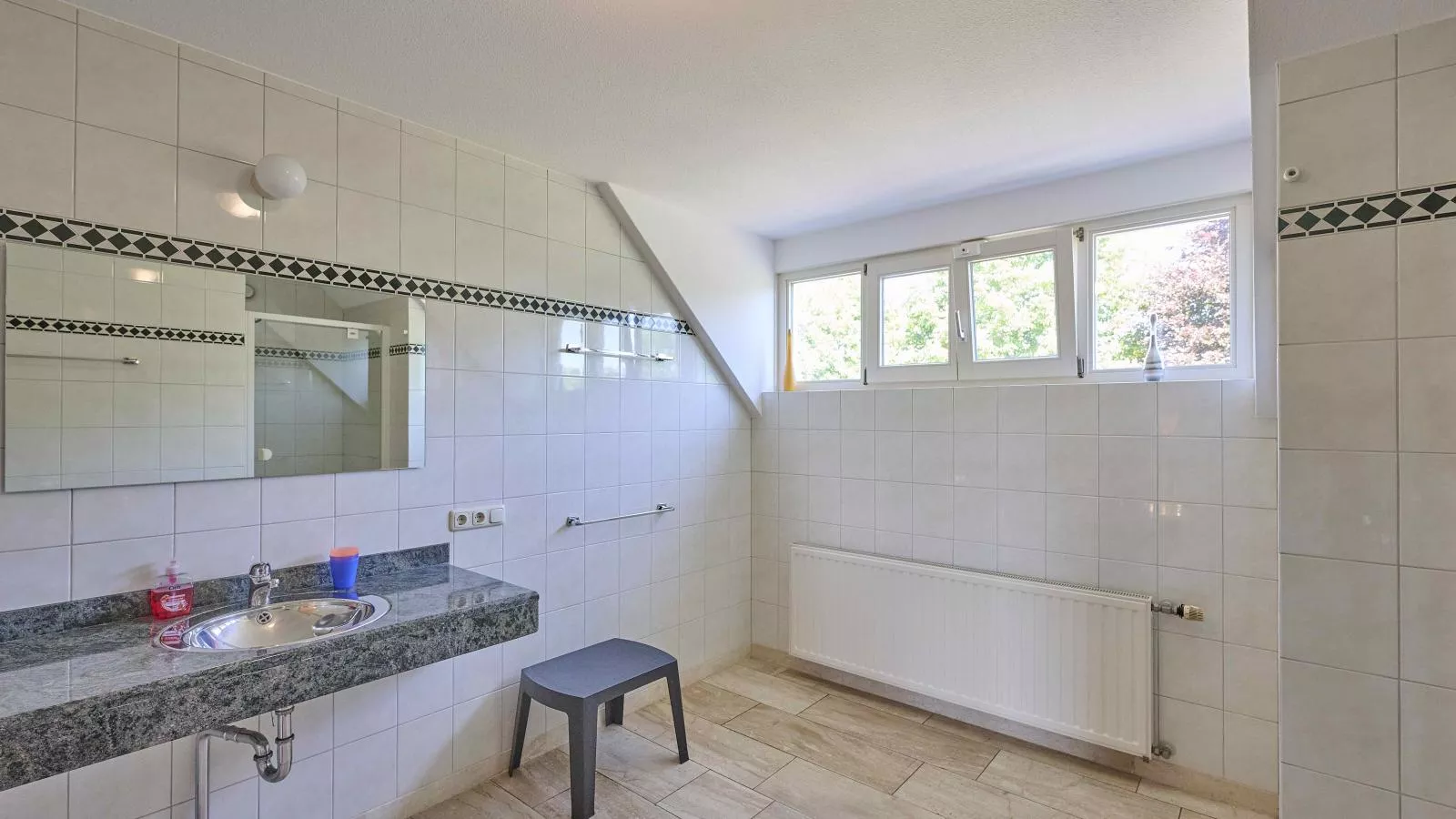Lionshuis-Bathroom