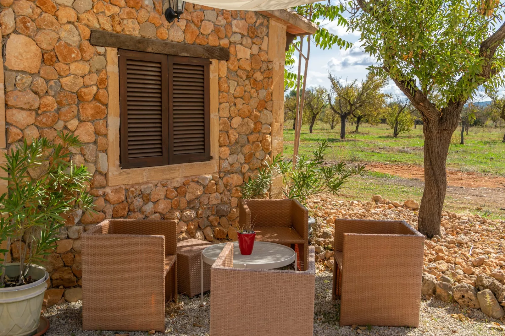 Sa Caseta (ca N'andreu)-Gardens summer