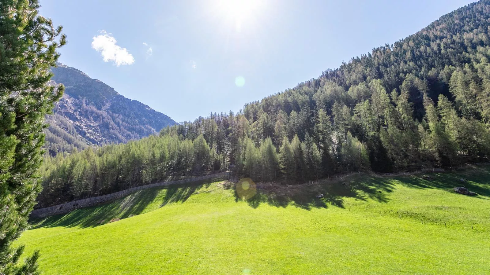 Haus Daniela-Gebiete Sommer 1 km
