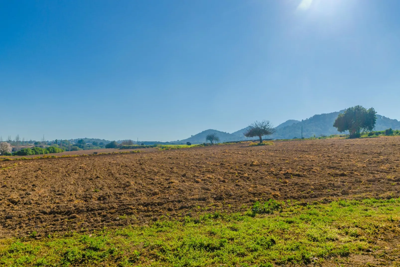 Na Molla-Gebiete Sommer 5 km