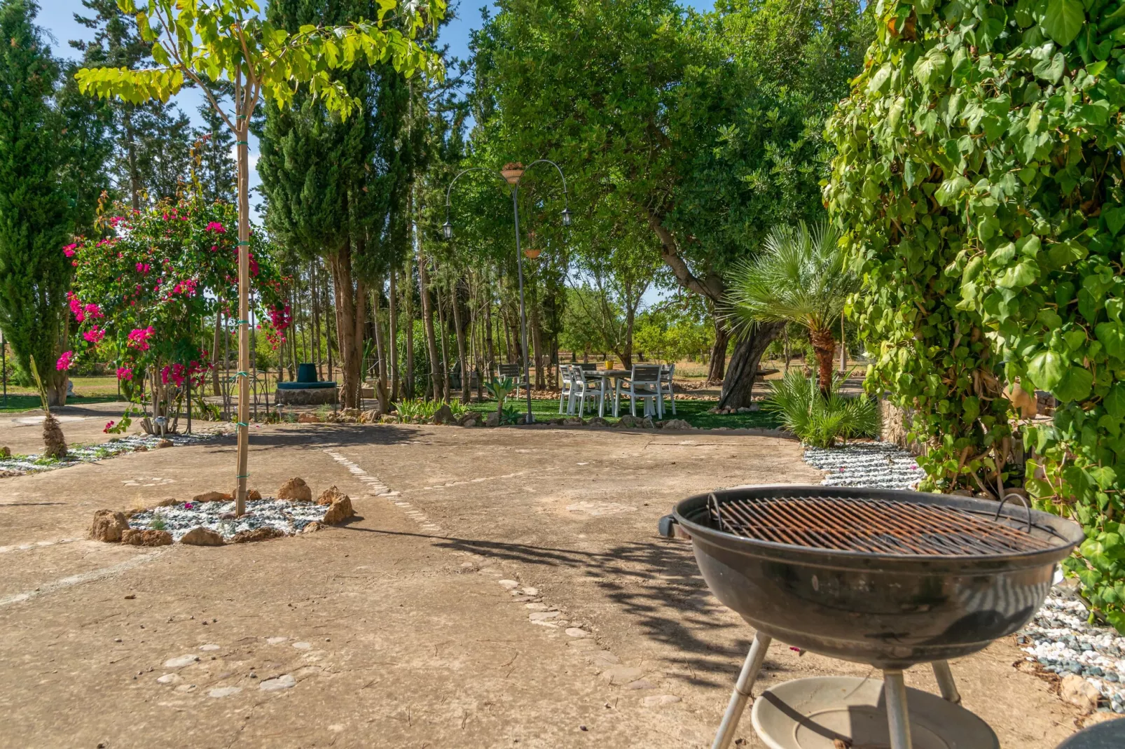Sa Caseta (ca N'andreu)-Gardens summer