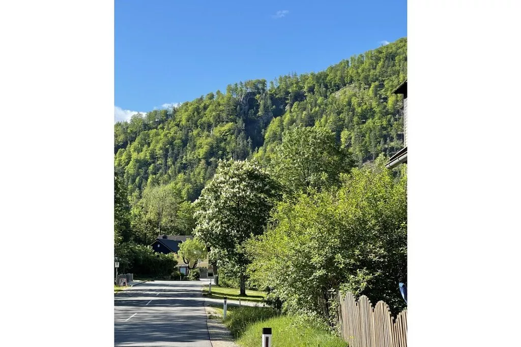526877-Nicht getaggt