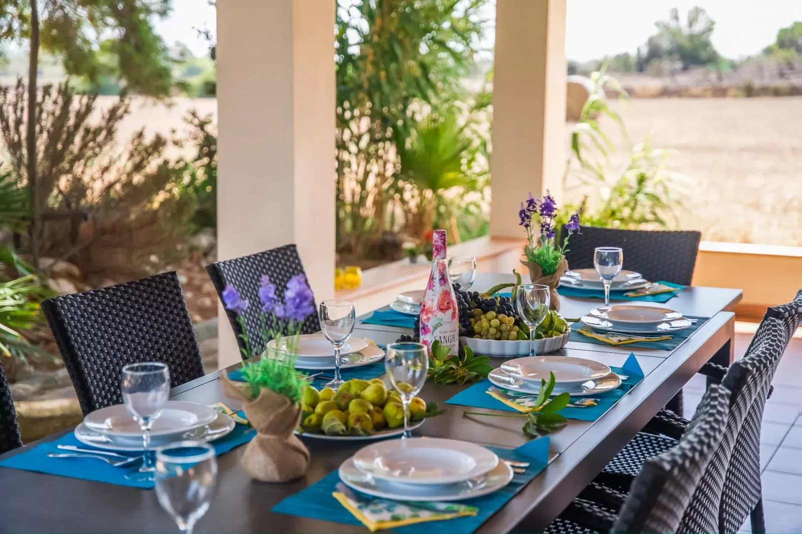 Can Ribas-Terrace