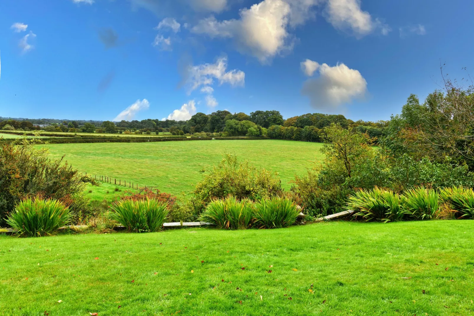 Clift Hill-Outdoor
