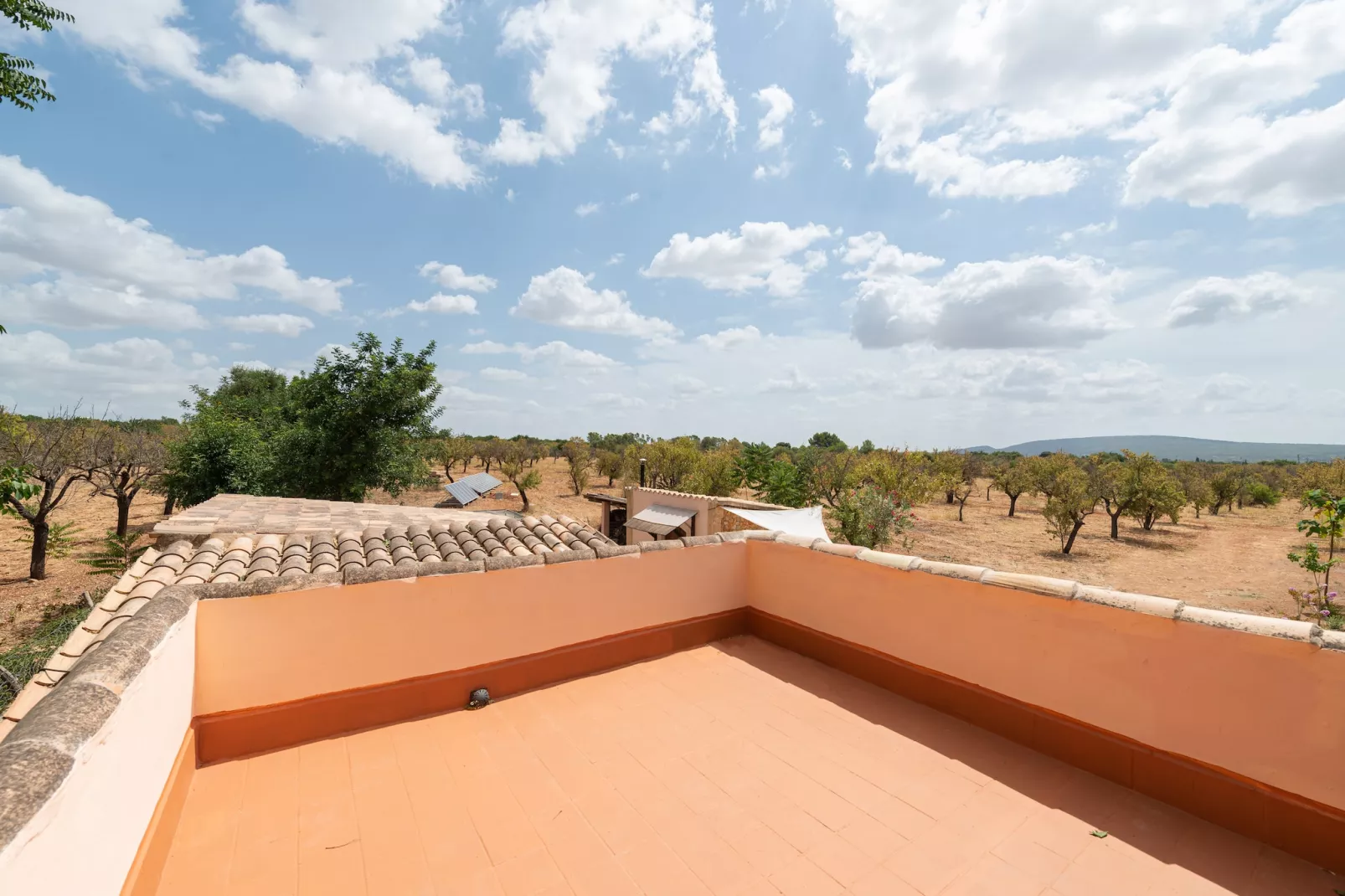 Sa Caseta (ca N'andreu)-View summer