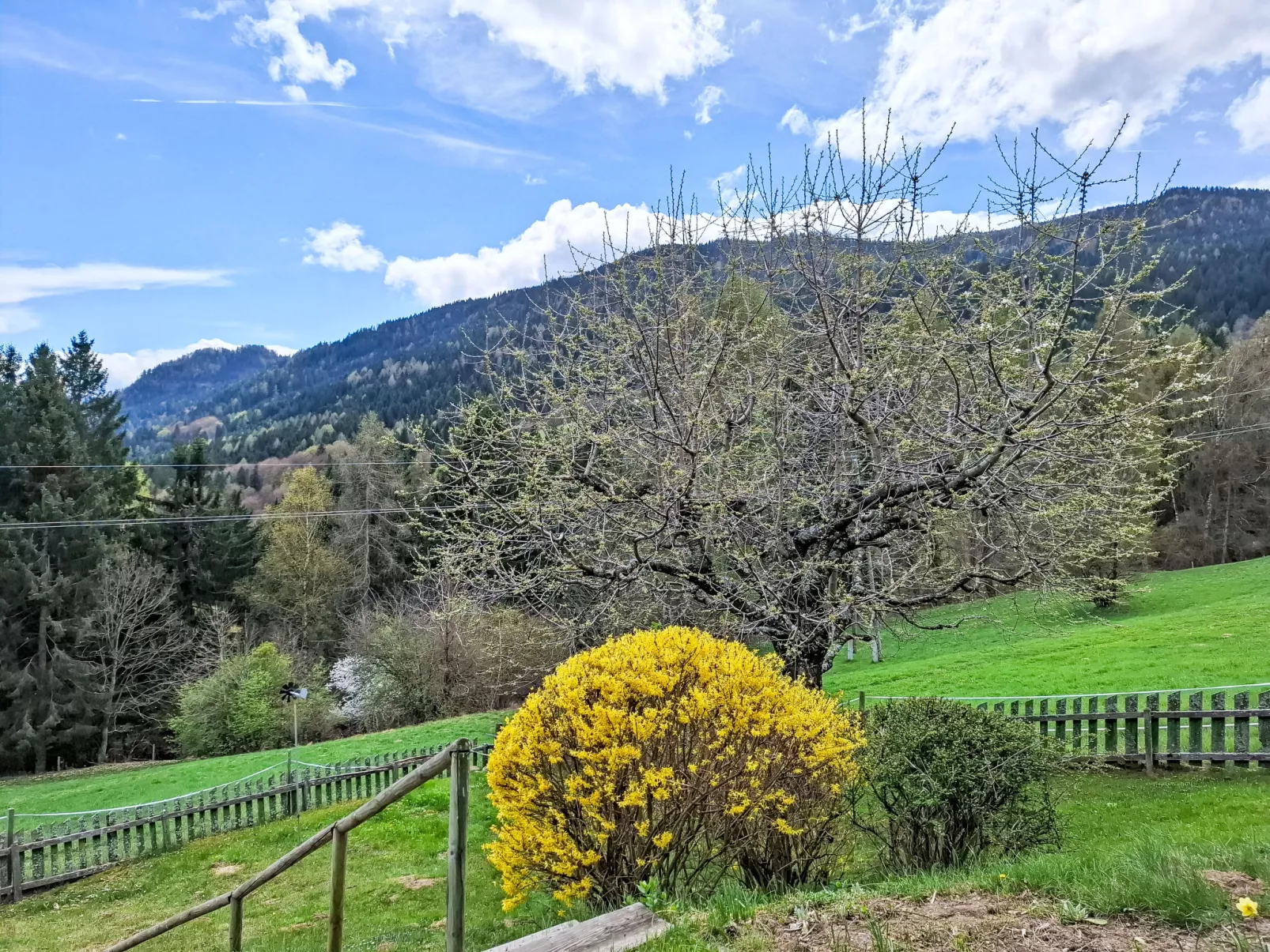 Sonnenplatzl Verditz-Draußen
