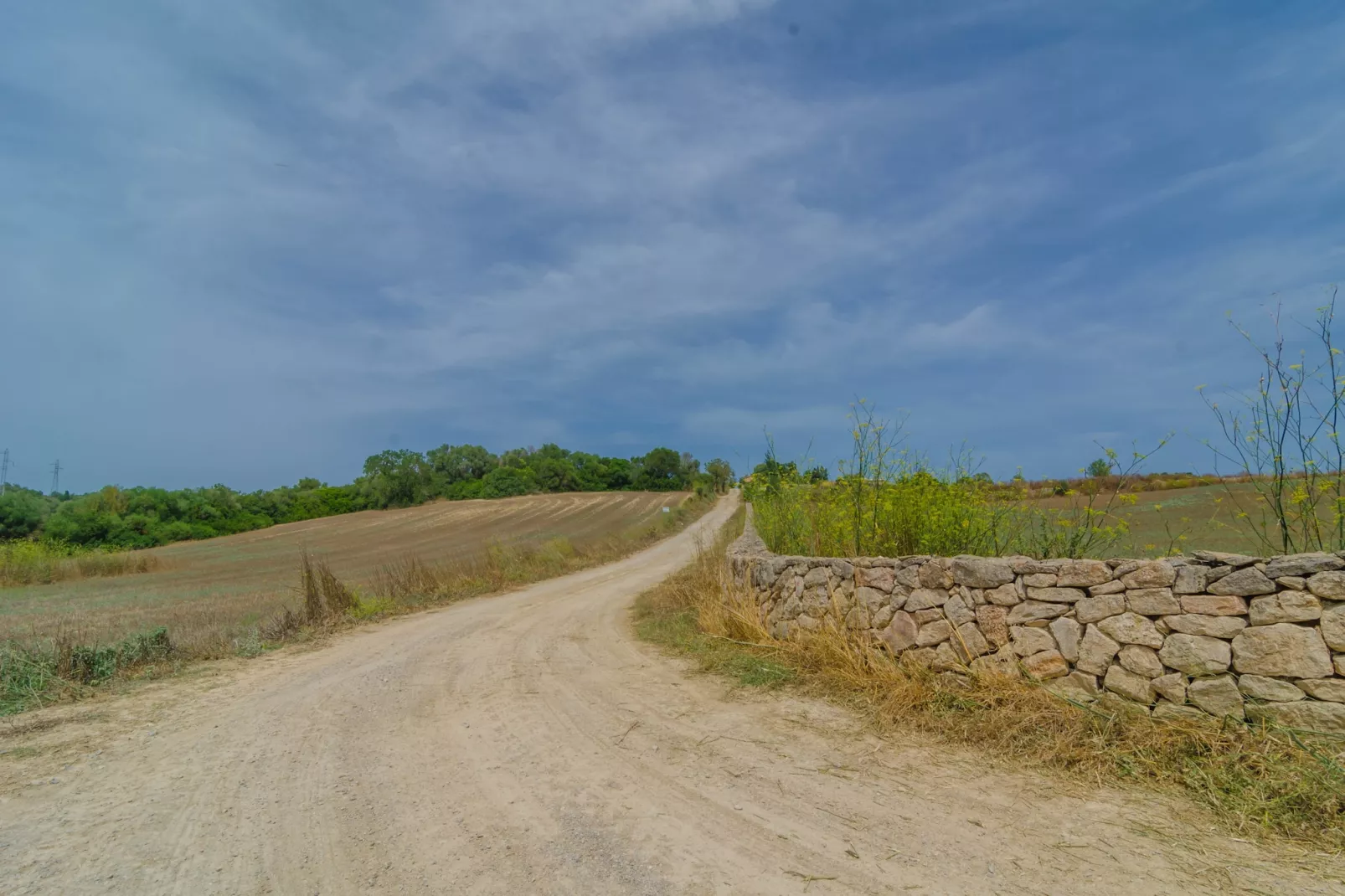 Sa Montanyeta-Areas summer 1km