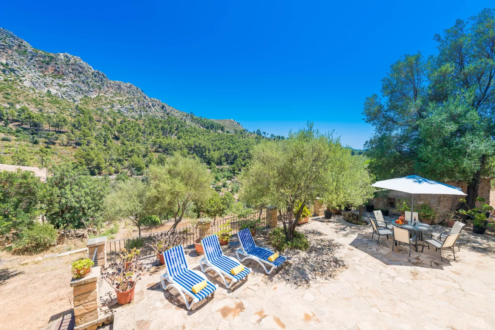 Sa Tarongera-Gardens summer