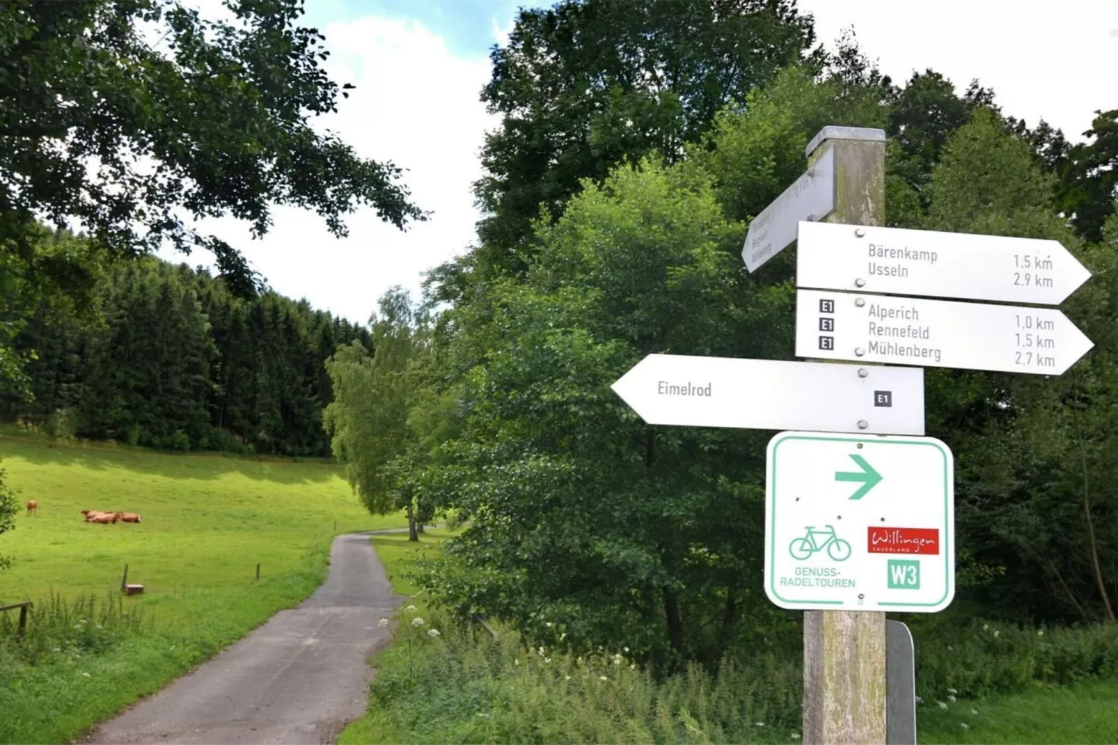 202645-Gebiete Sommer 5 km