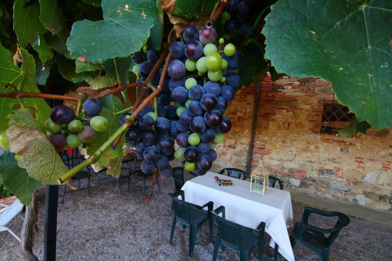 Fiordalisi-Installations