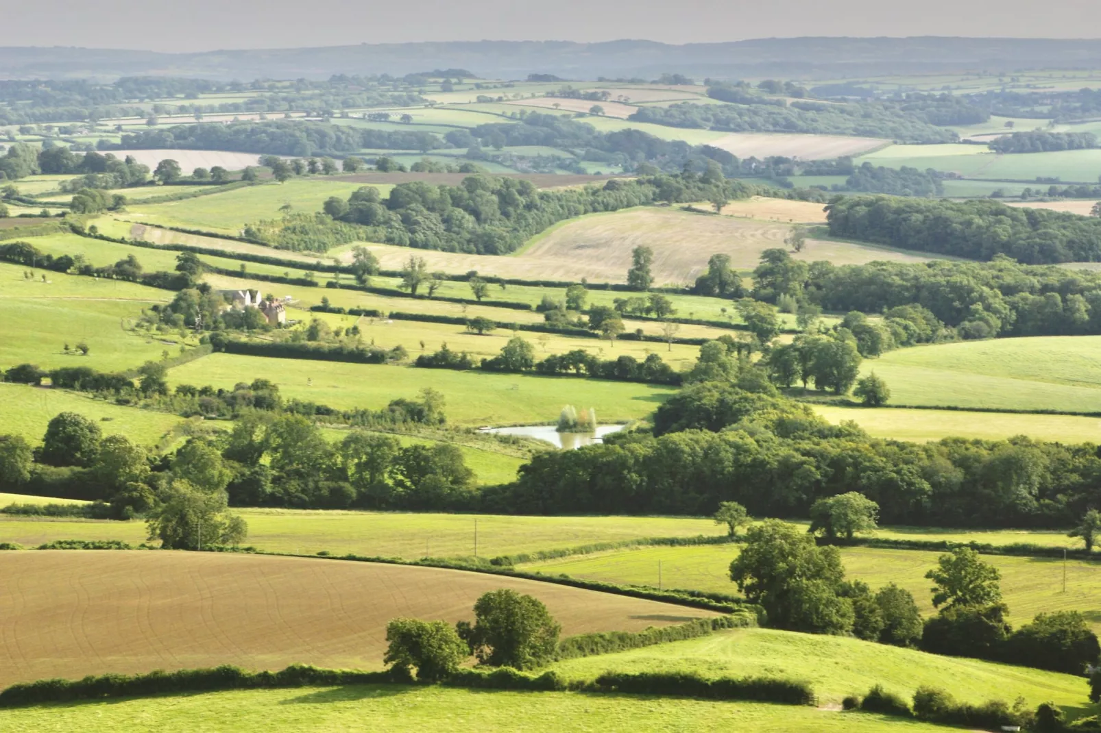 New Park Farm-Extérieur
