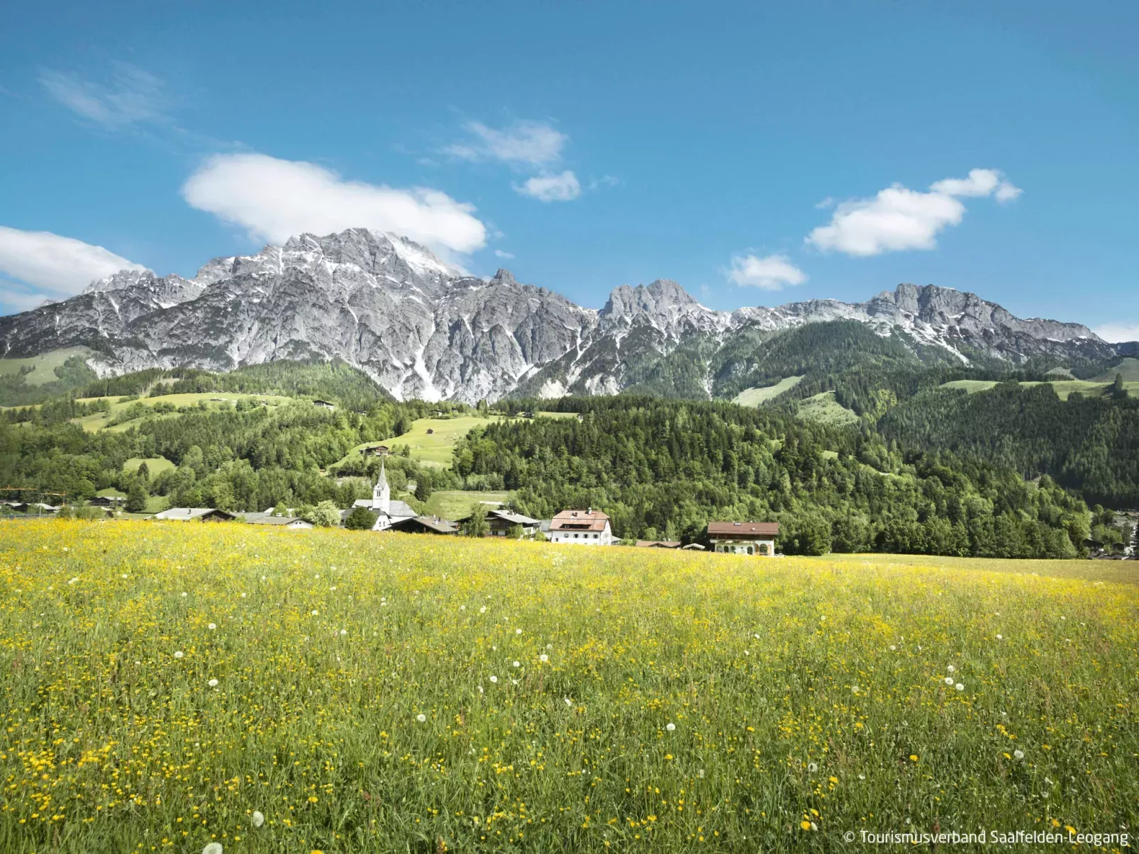 Hanserbauer-Area
