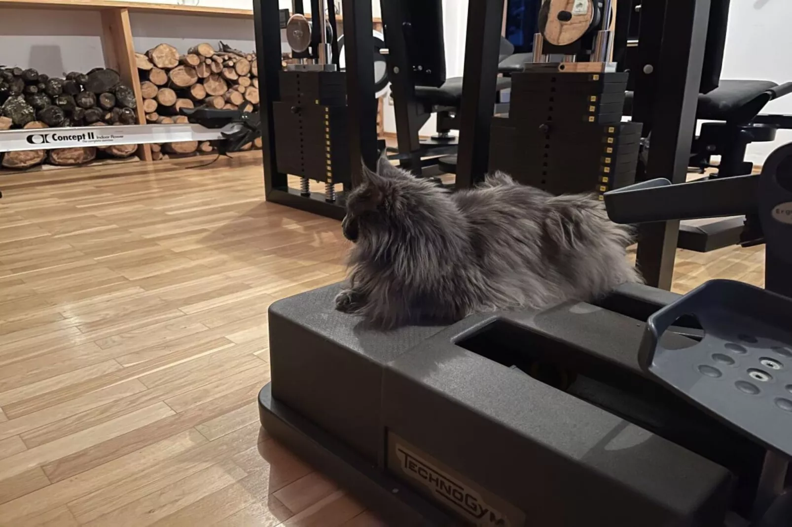 526877-Fitnessraum