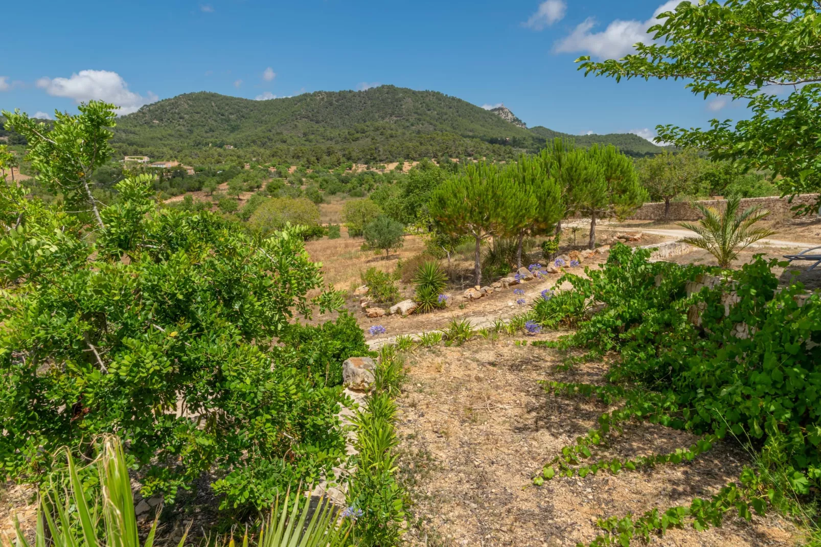 S'albarcoquer-Gebiete Sommer 5 km