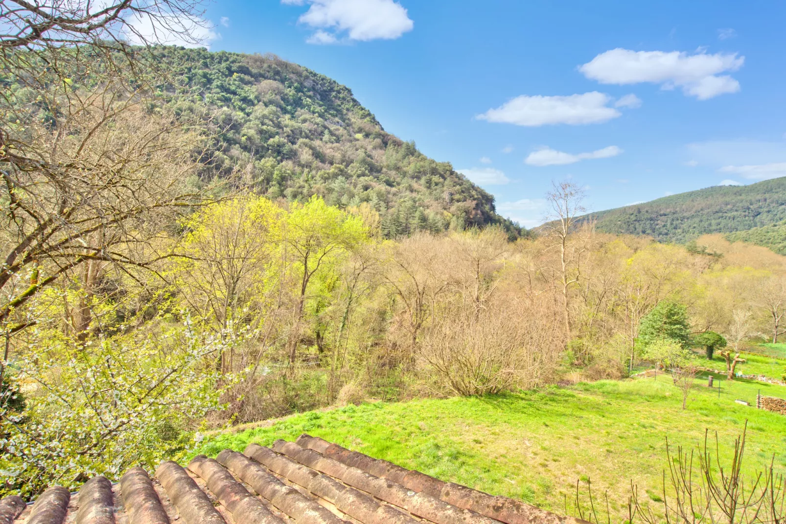 Les Cousinades-View summer