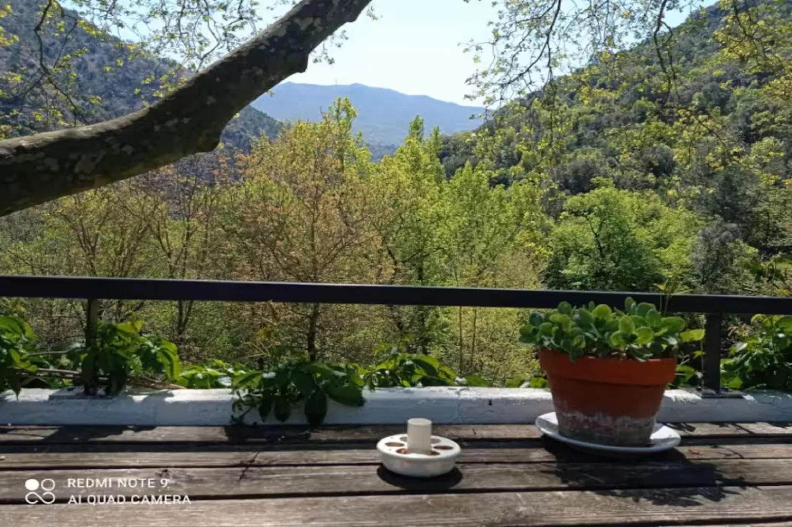 Les Cousinades-View summer