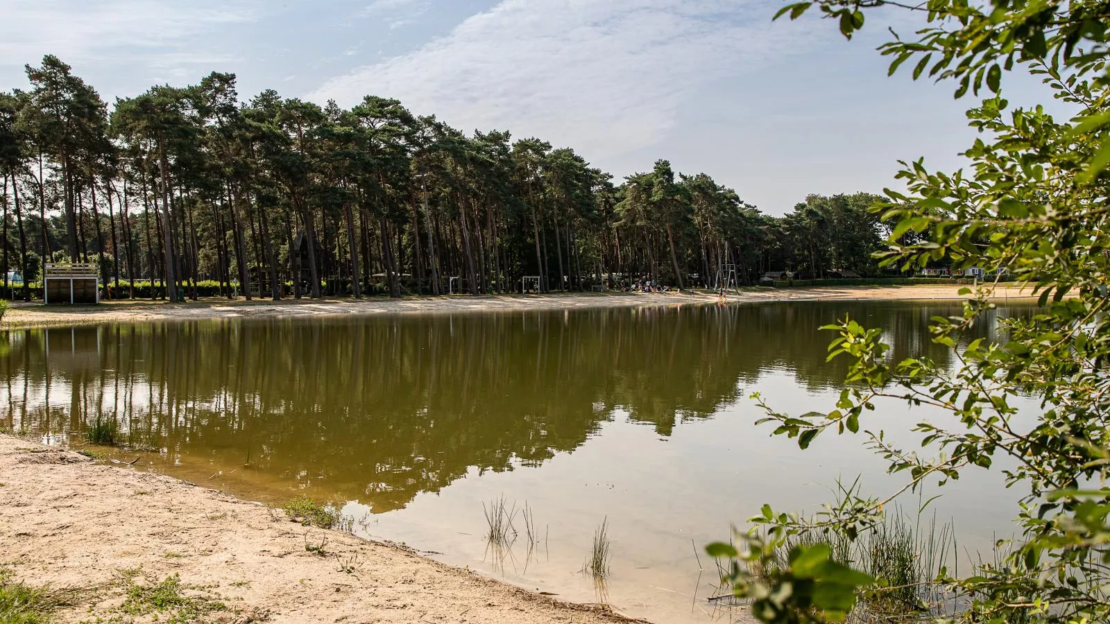 Veldzicht-Gebiete Sommer 1 km