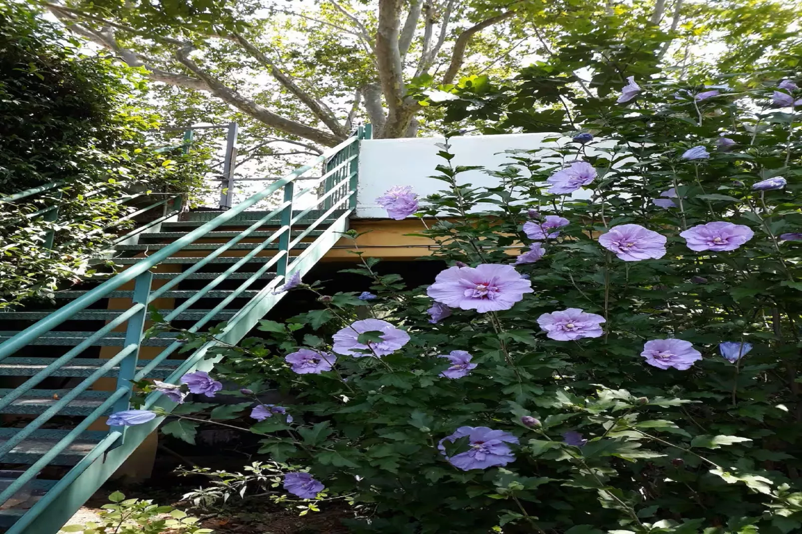 L'Atelier des Fileuses-Gardens summer