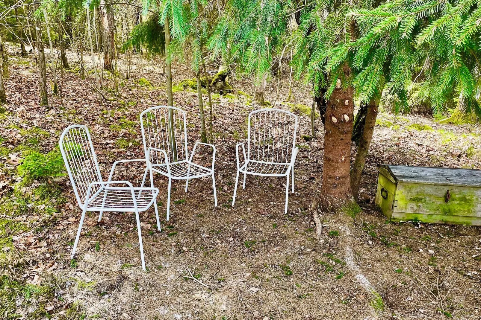 Maison de vacances pour 4 a Backaryd-By Traum-Non étiqueté