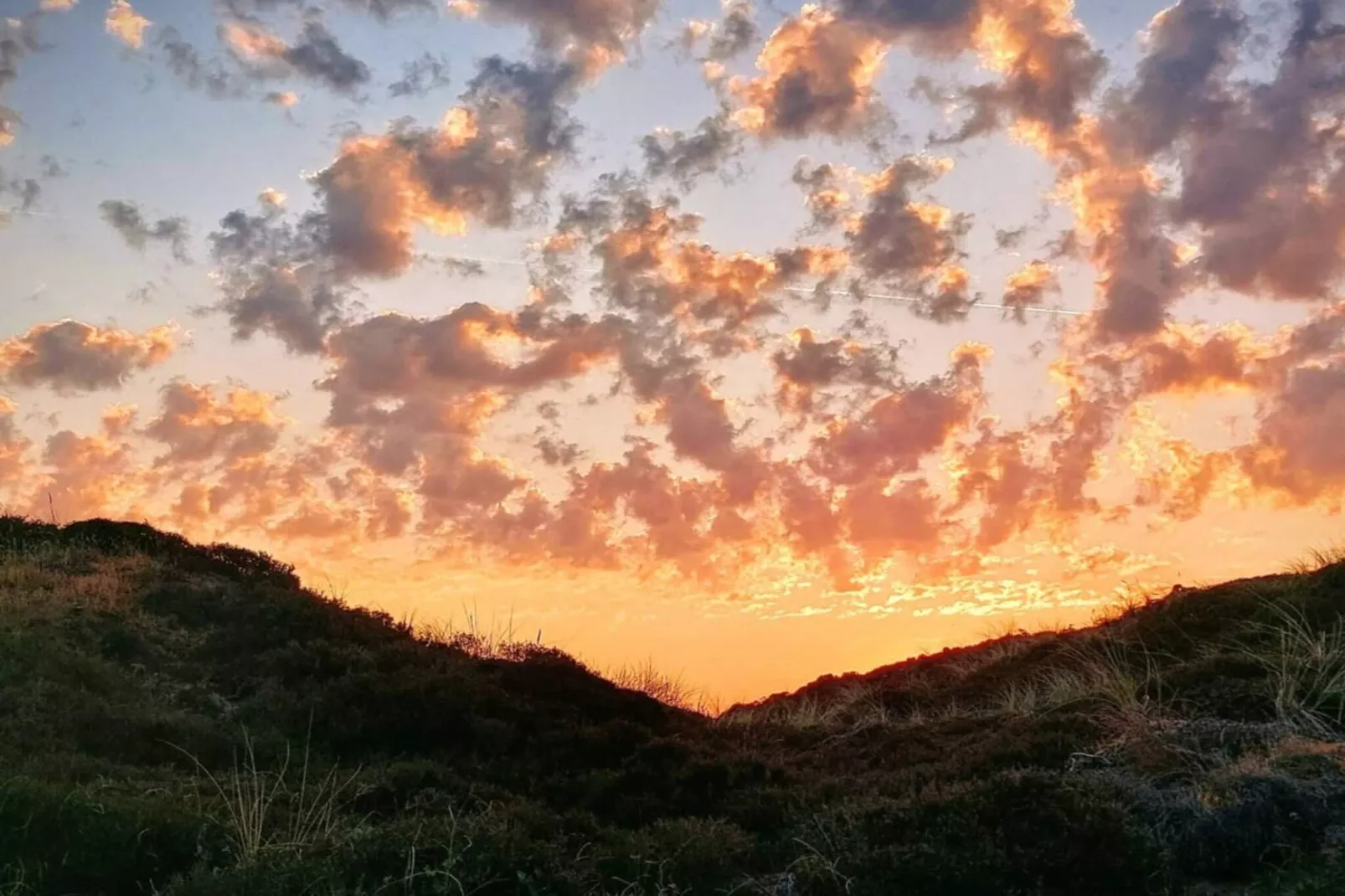 8 person holiday home in Blåvand