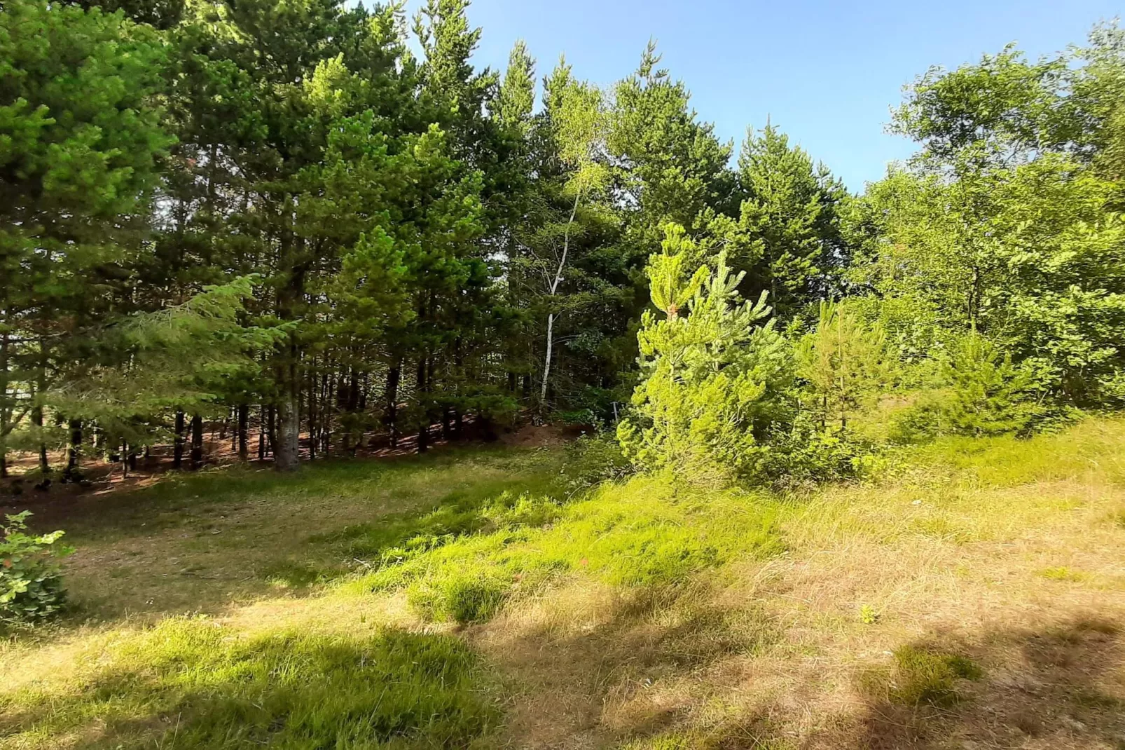 6 person holiday home in Hemmet-Untagged