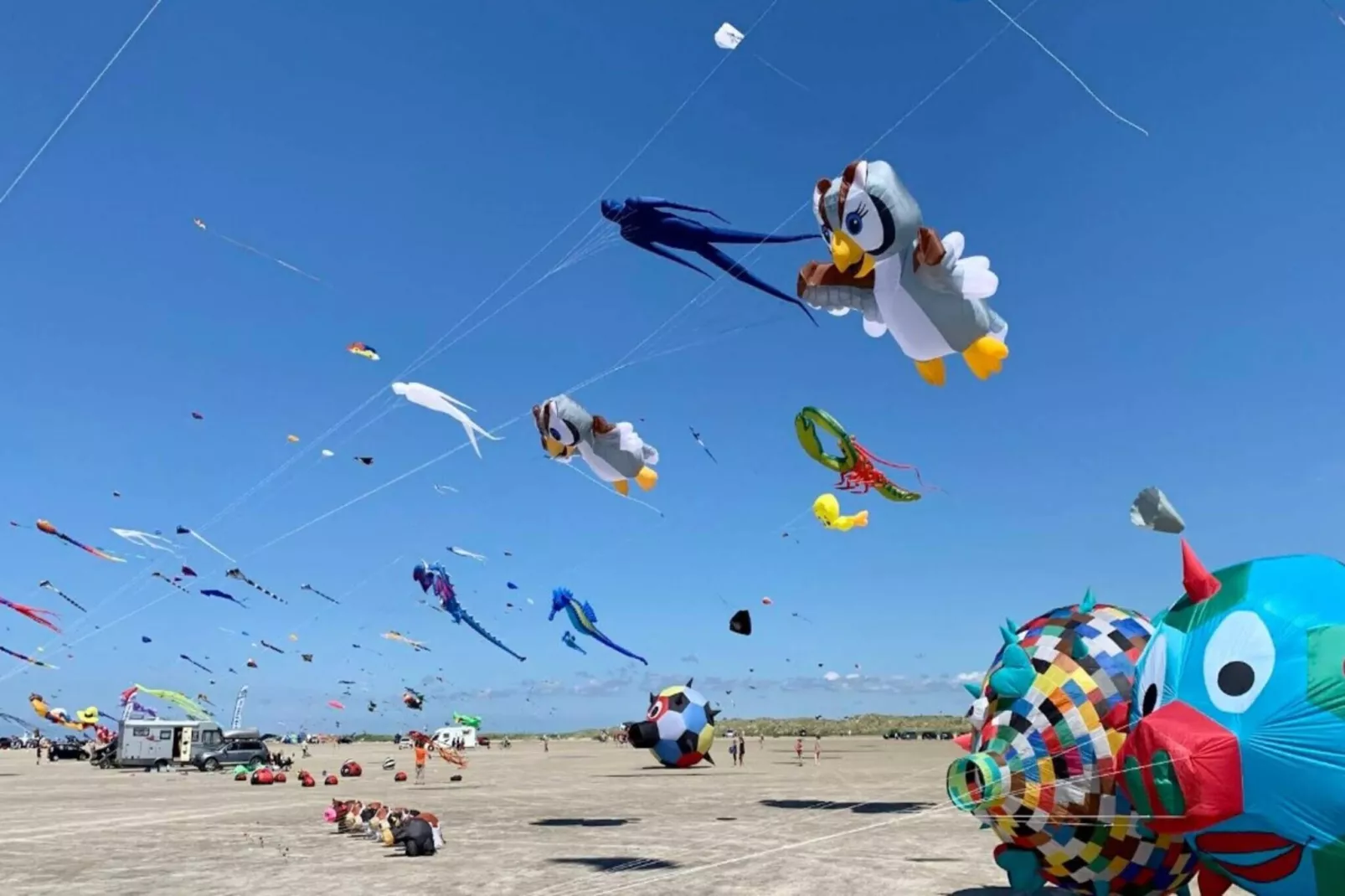 Kustenzauber in Rindby-By Traum