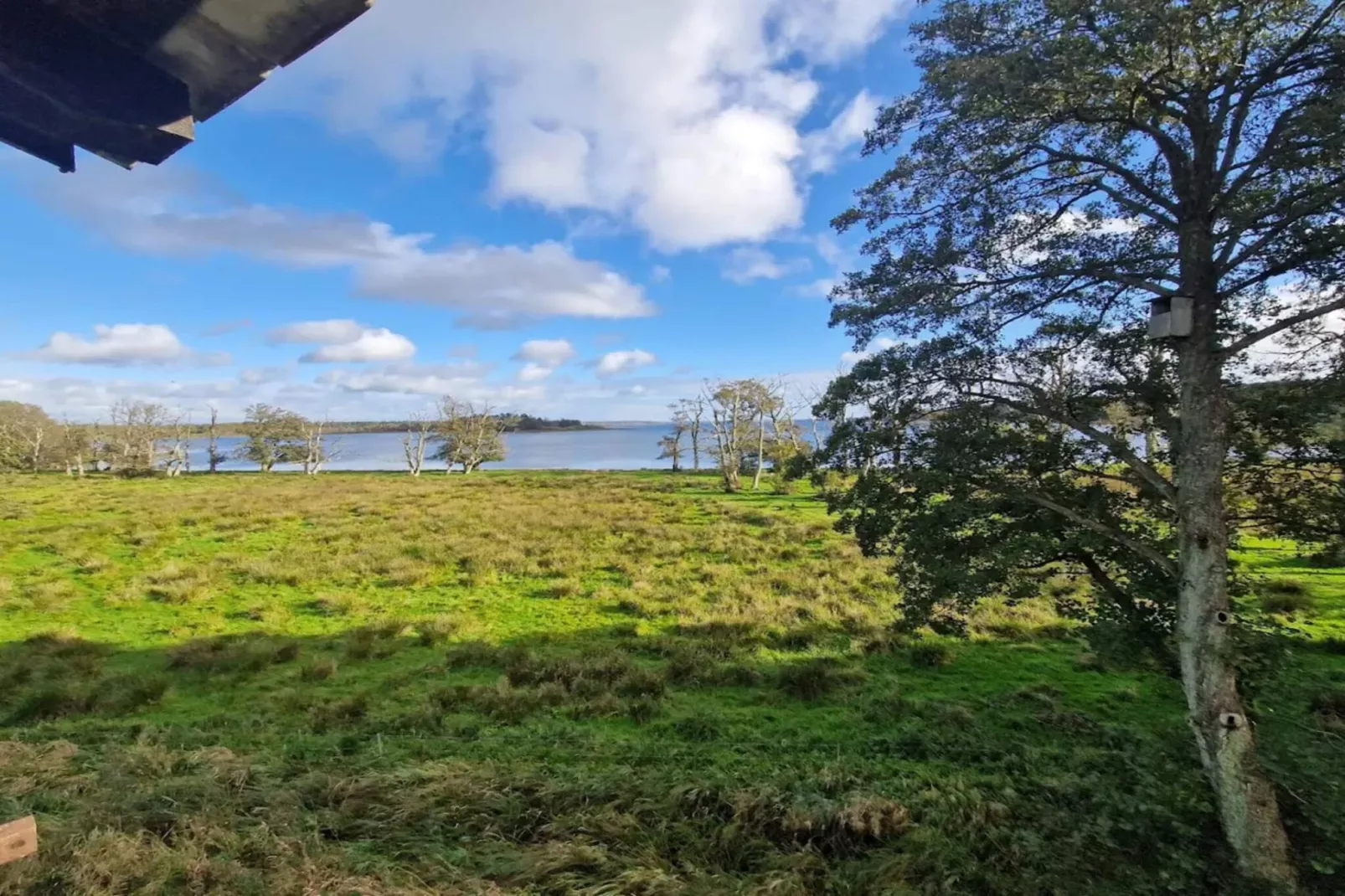 Lakeside Holiday Home with Forest