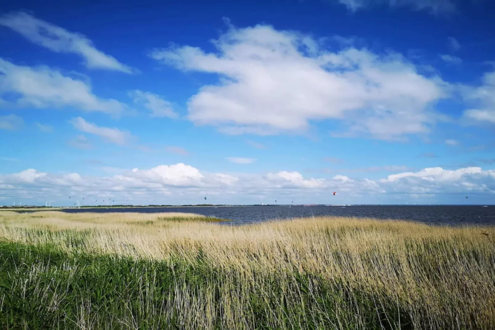 5 person holiday home in Ringkøbing-By Traum-Untagged