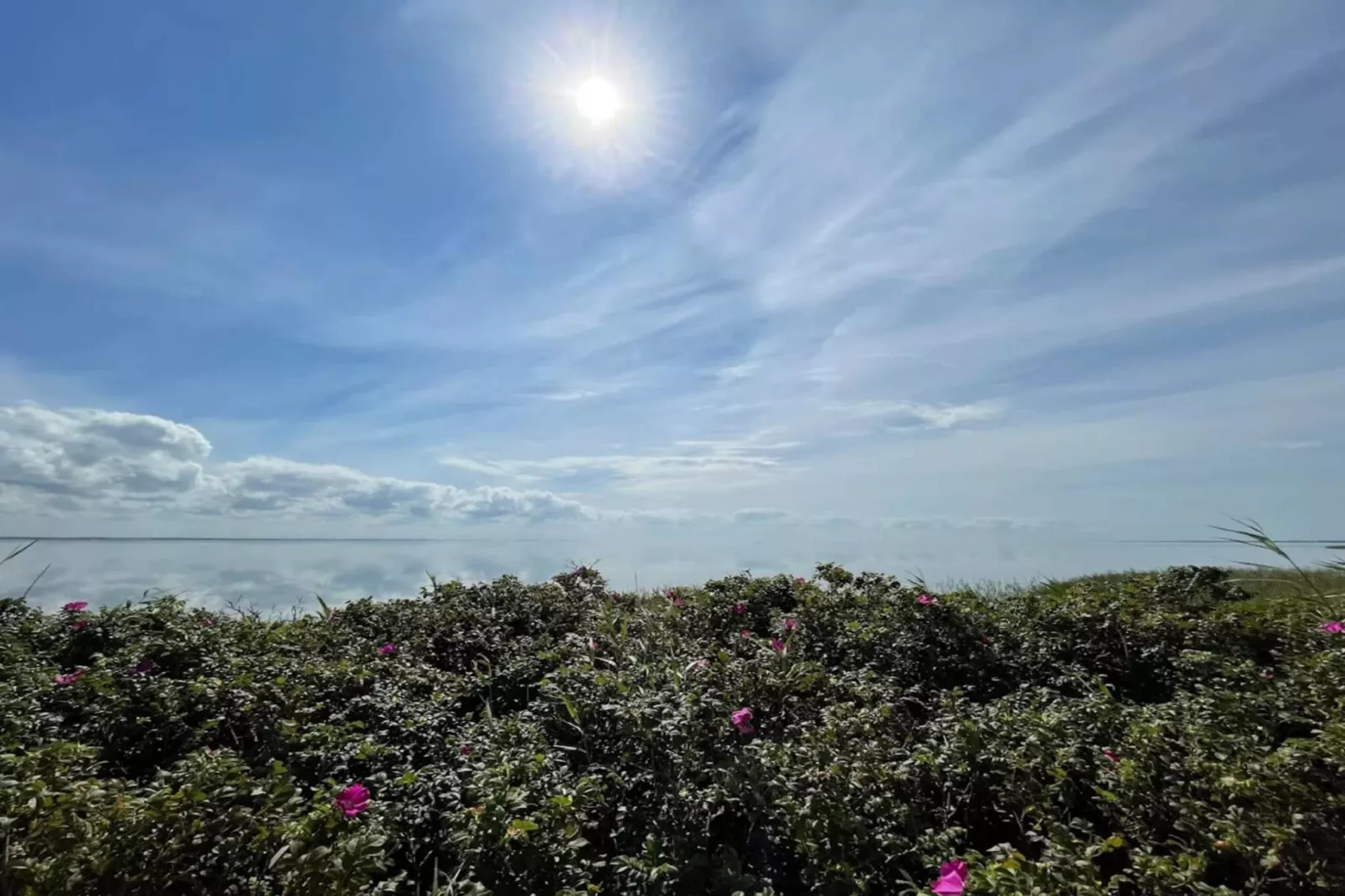 Maison de vacances pour 6 a Ringkøbing-Non tagué