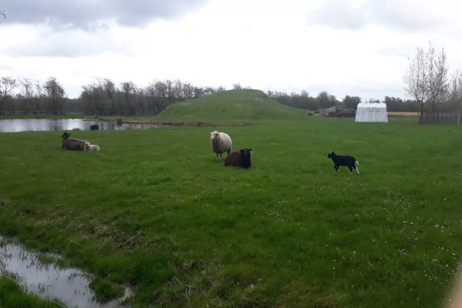 4 Personen Ferienhaus in Ansager-By Traum