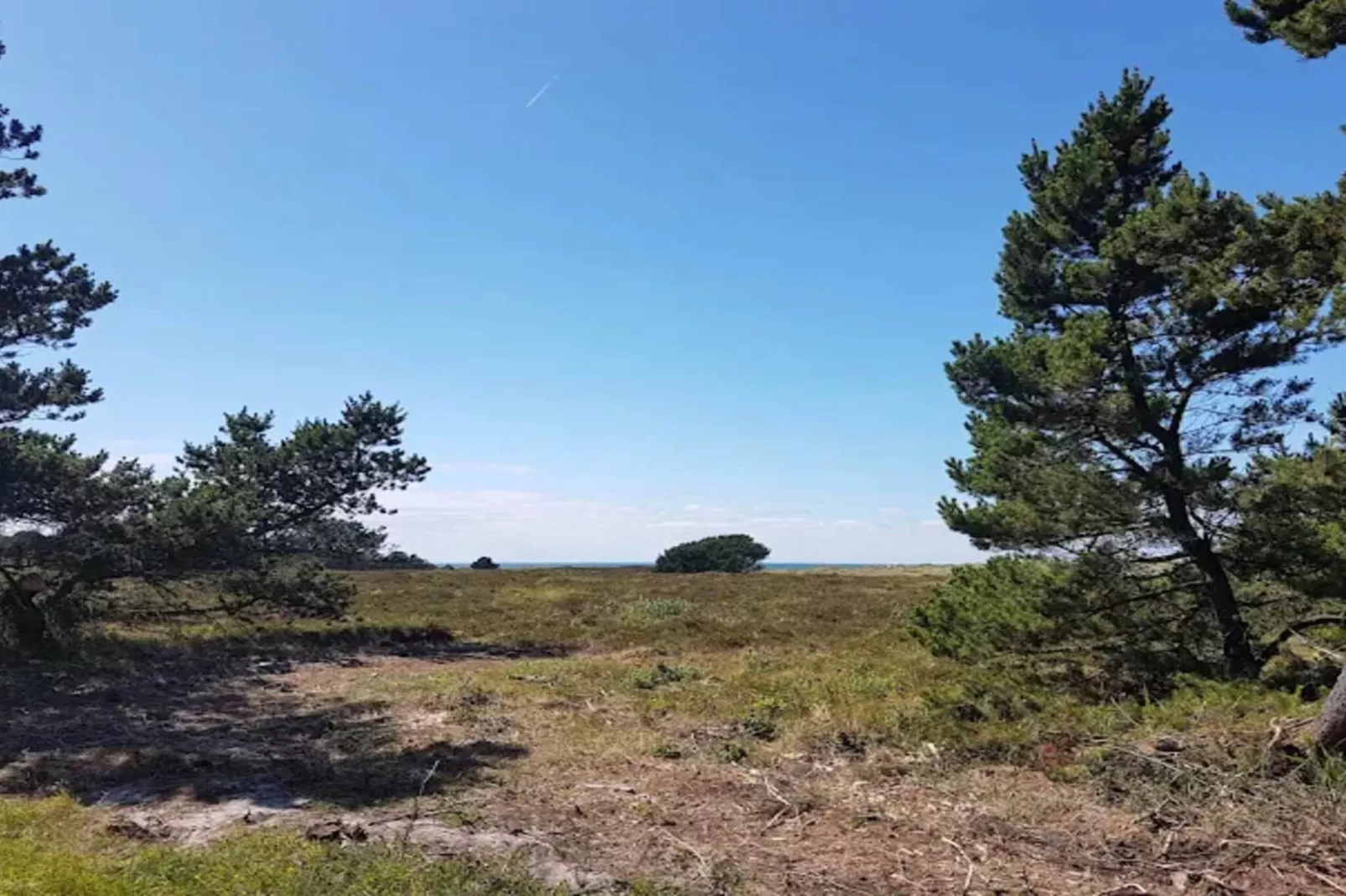 5 Personen Ferienhaus in Læsø-By Traum-Nicht zugeordnet
