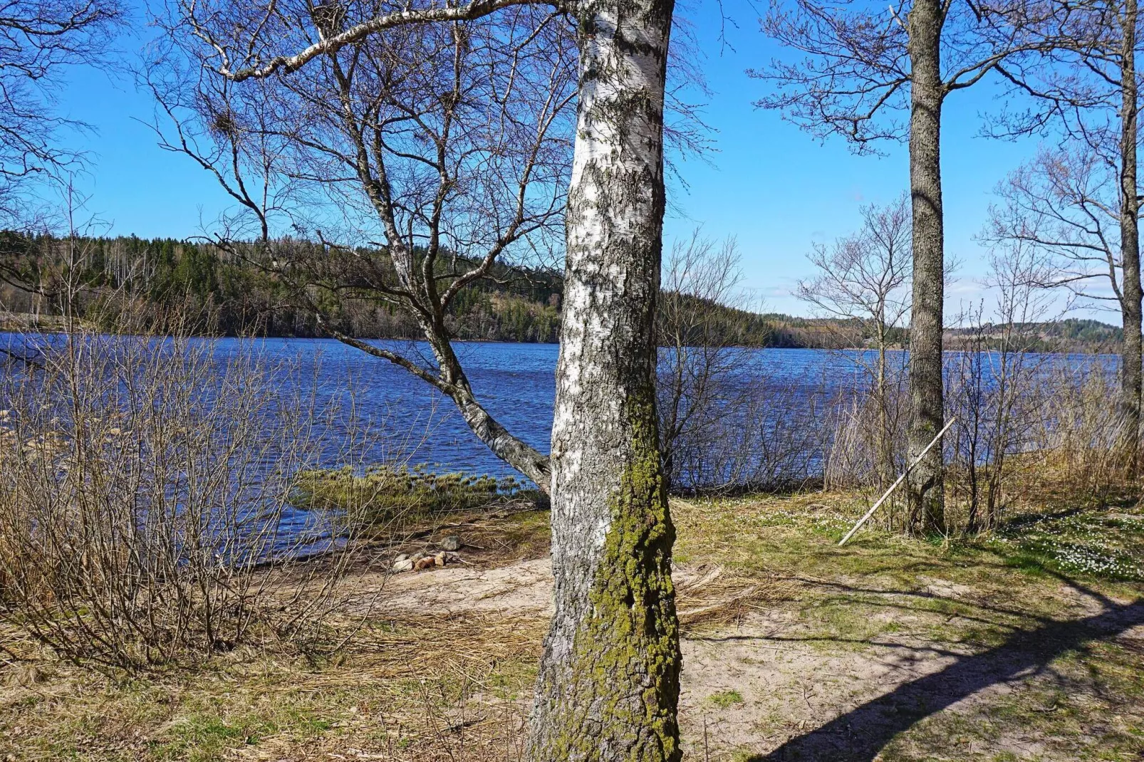 9 person holiday home in HÄLLEVADSHOLM-By Traum-Not tagged