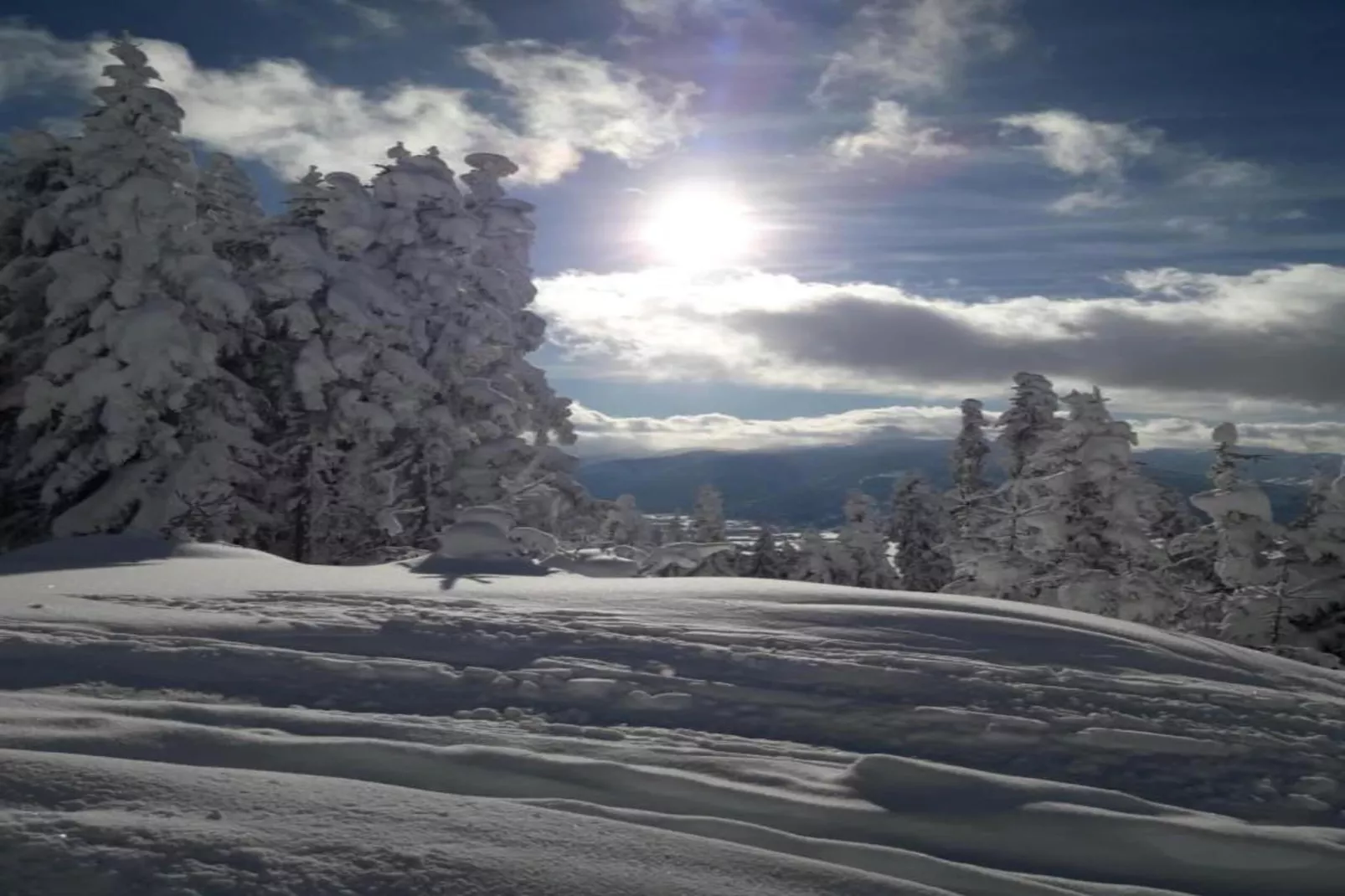 Heidi-Area within 20km in winter