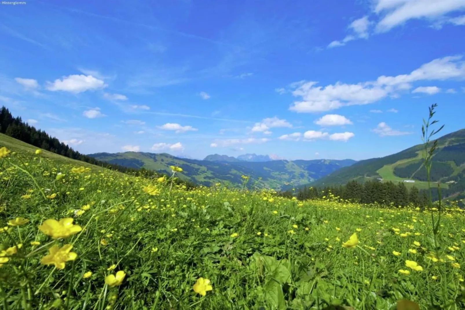 Apartment Lotte-Areas within 20km in summer
