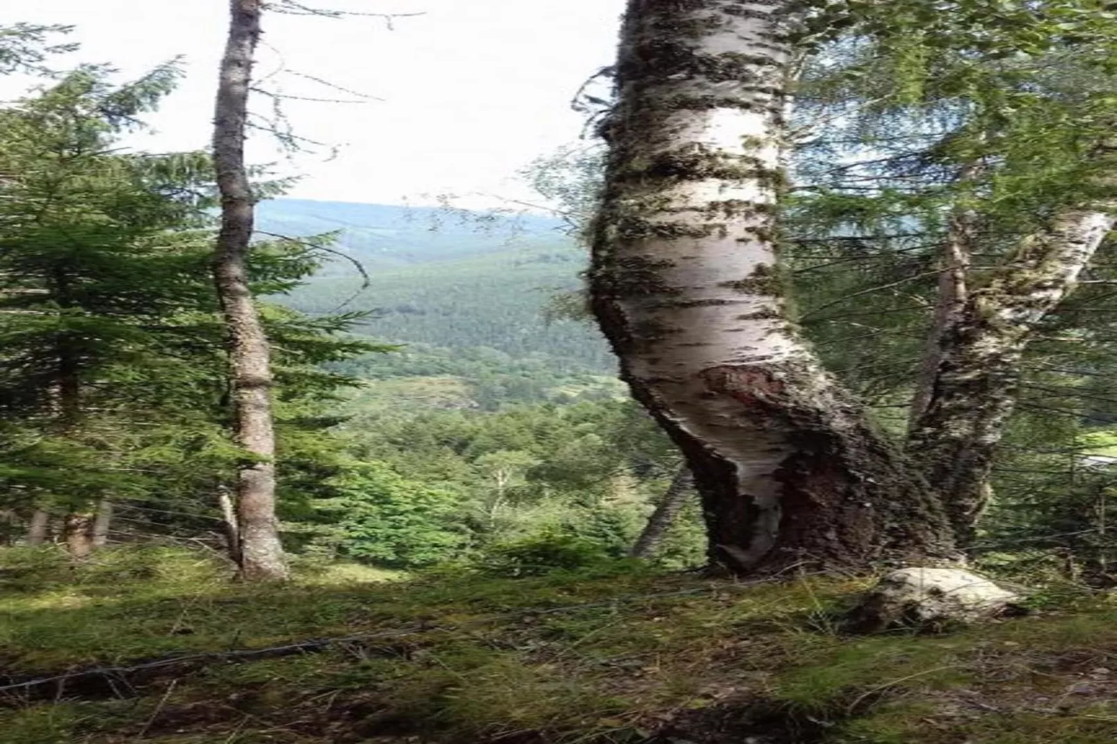 Chalet Eder-Areas within 20km in summer