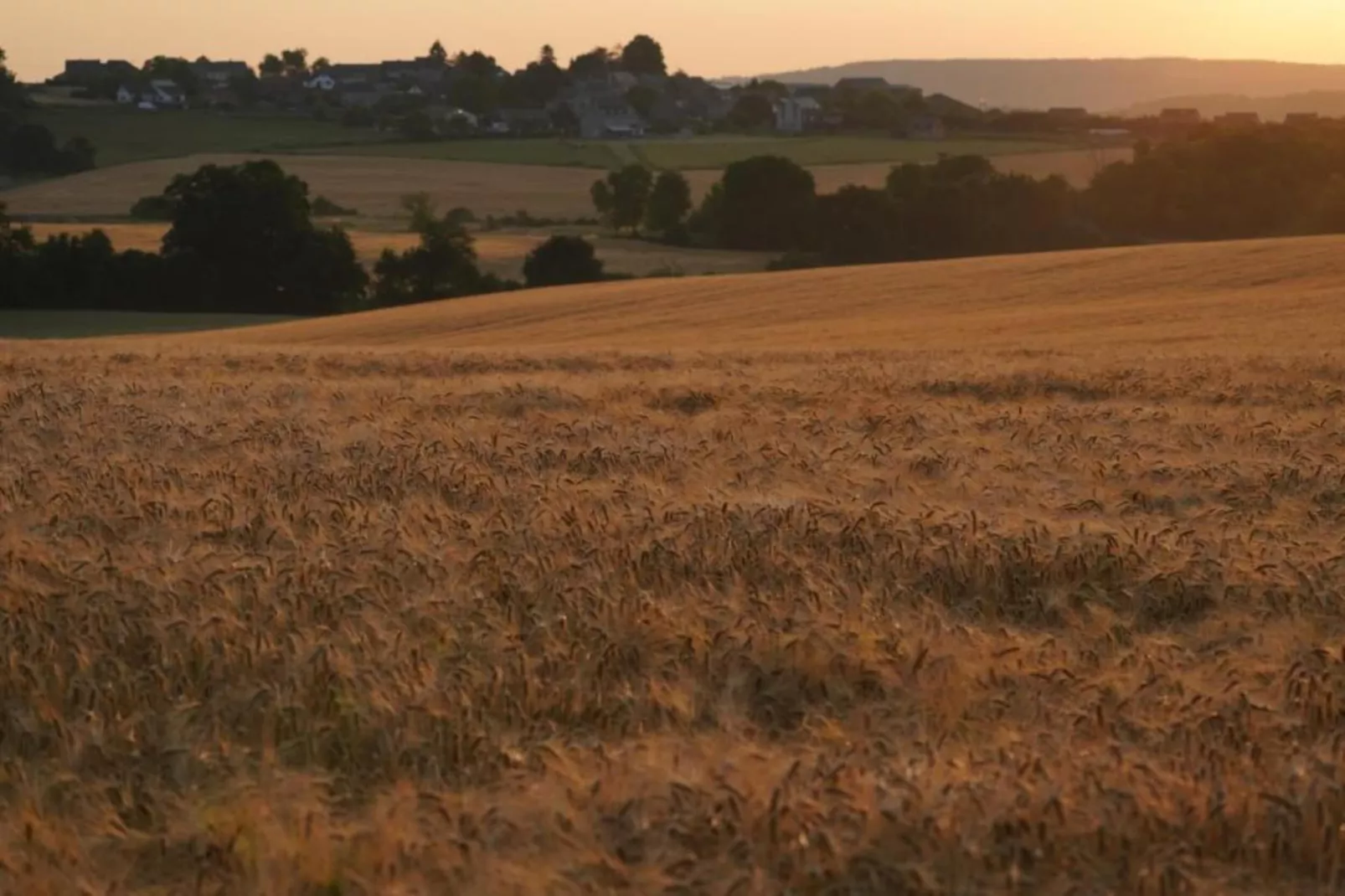 La Ferme de Foy 24-Areas within 5km in summer