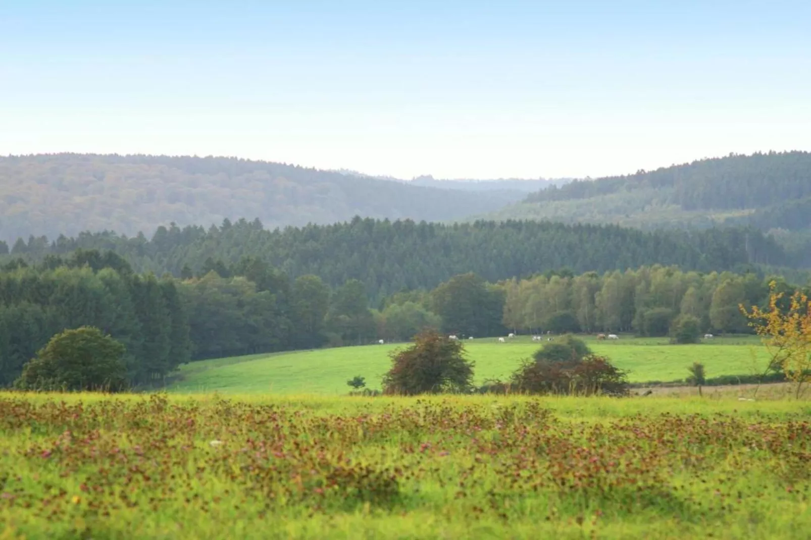 La Chouette-Areas within 5km in summer