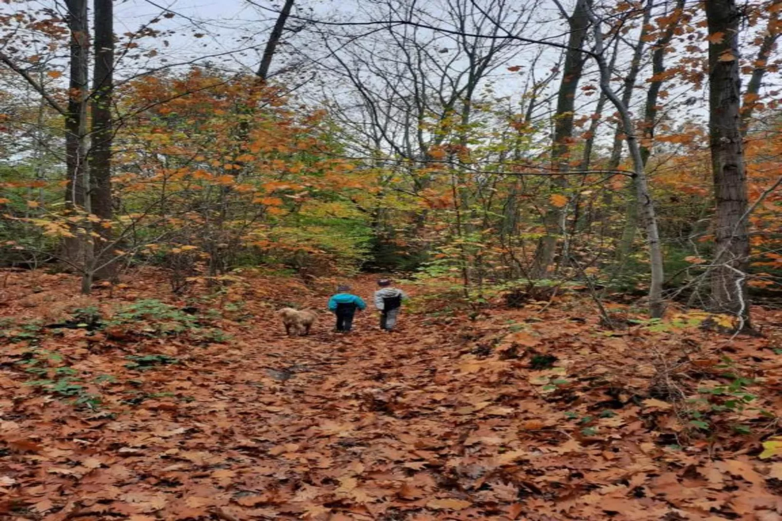 La Casa della Nonna-Zones été à 20 km