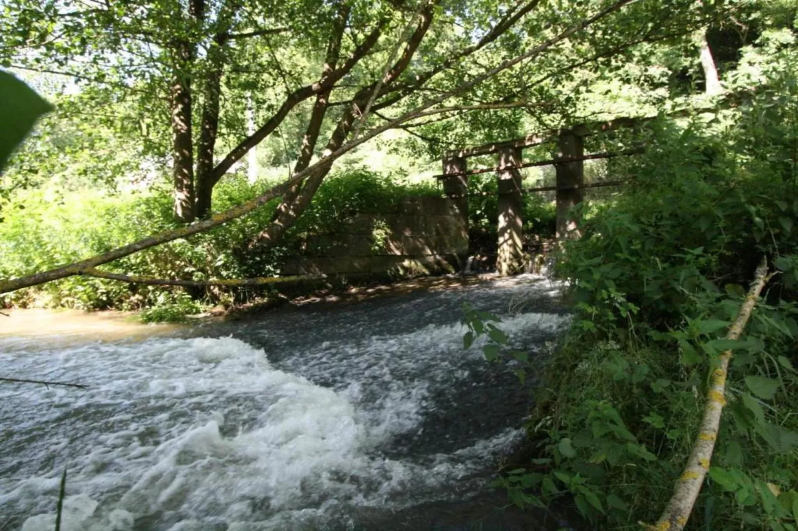 Les secrets du chat-Areas within 20km in summer