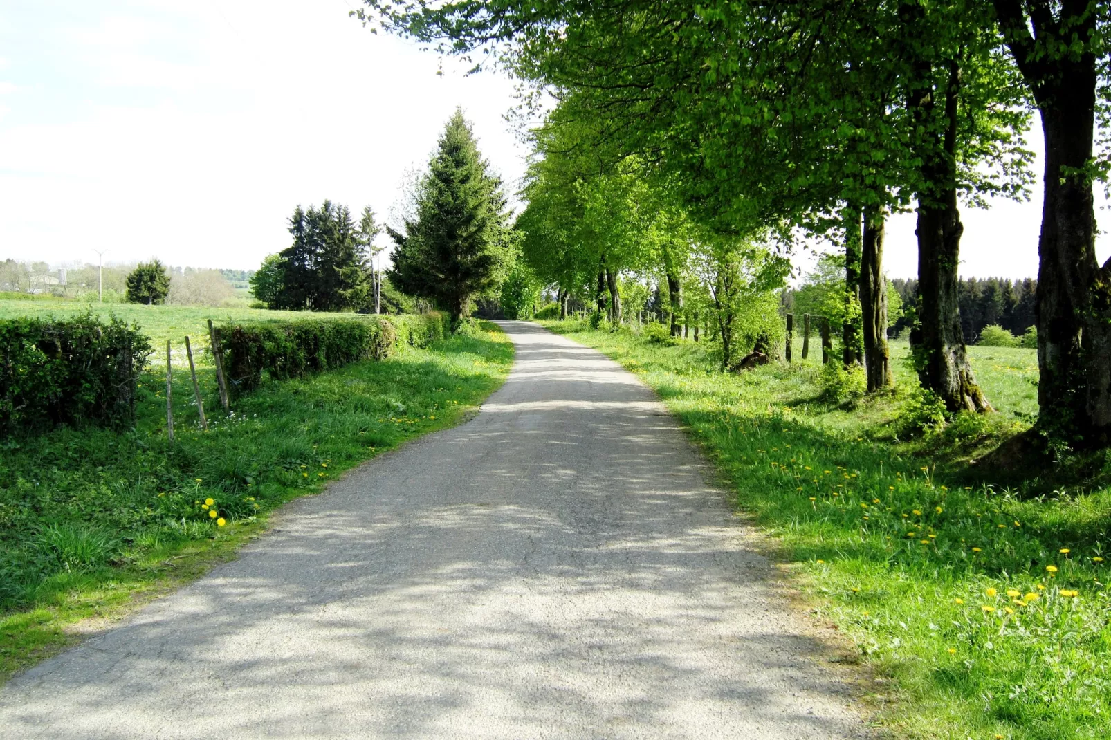 Chalet Orange-Areas within 1km in summer