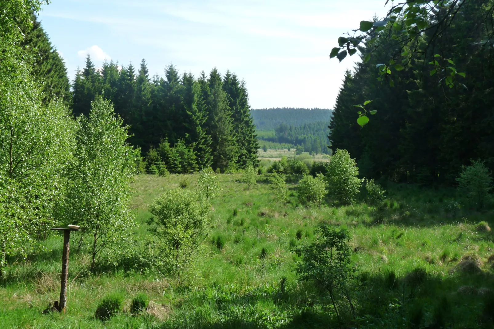 La Cabane-Areas summer 5km