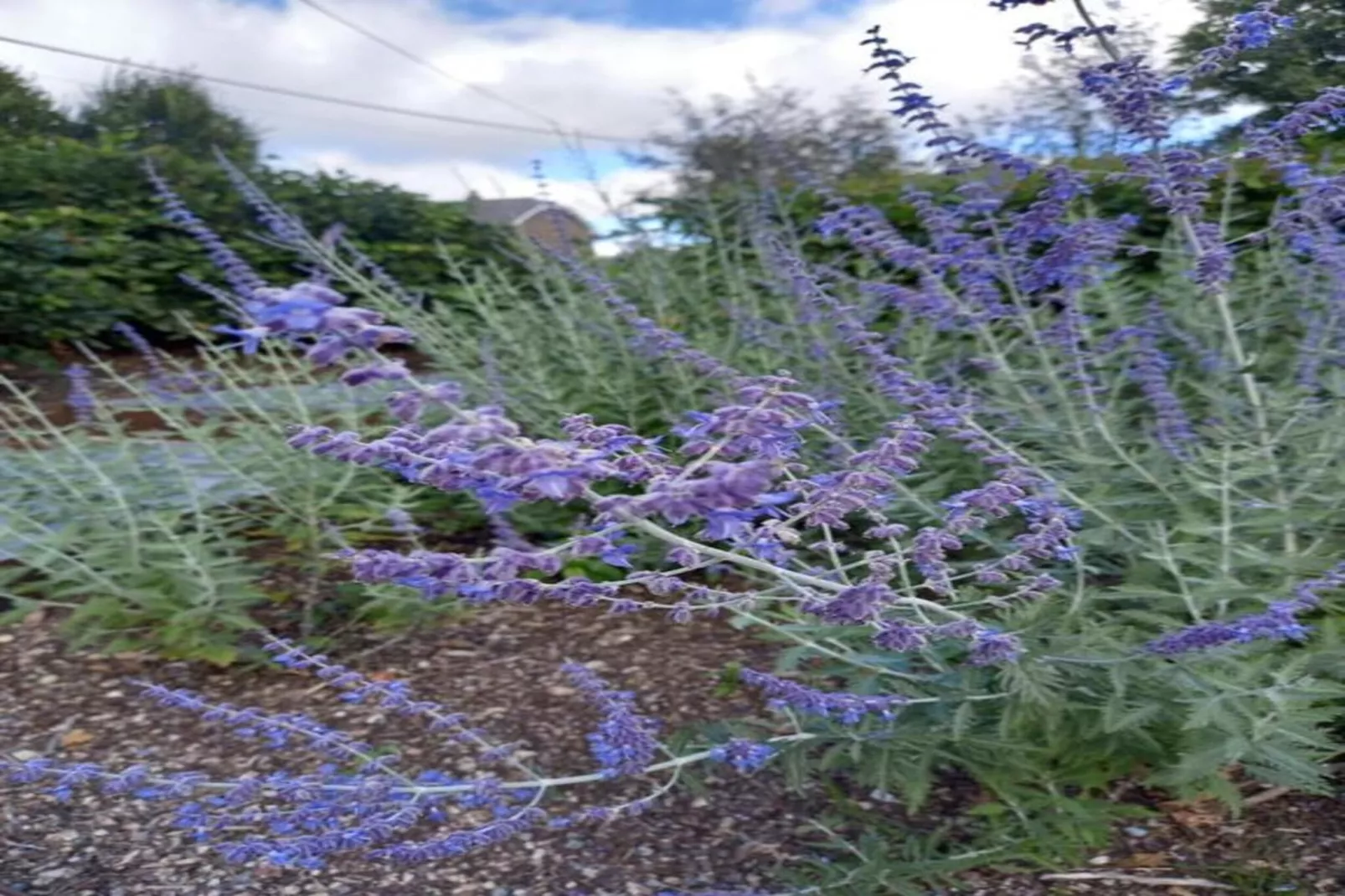 Au-dessus de la vallée-Gebiete Sommer 20 km