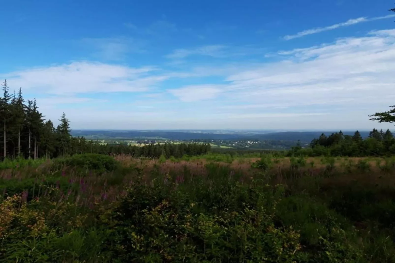 La lavande-Areas within 20km in summer