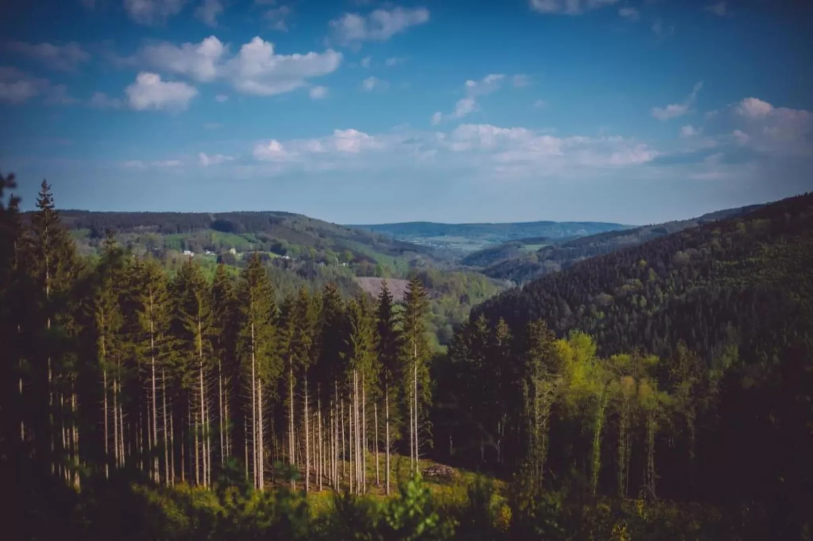 Le Noyer-Areas within 20km in summer